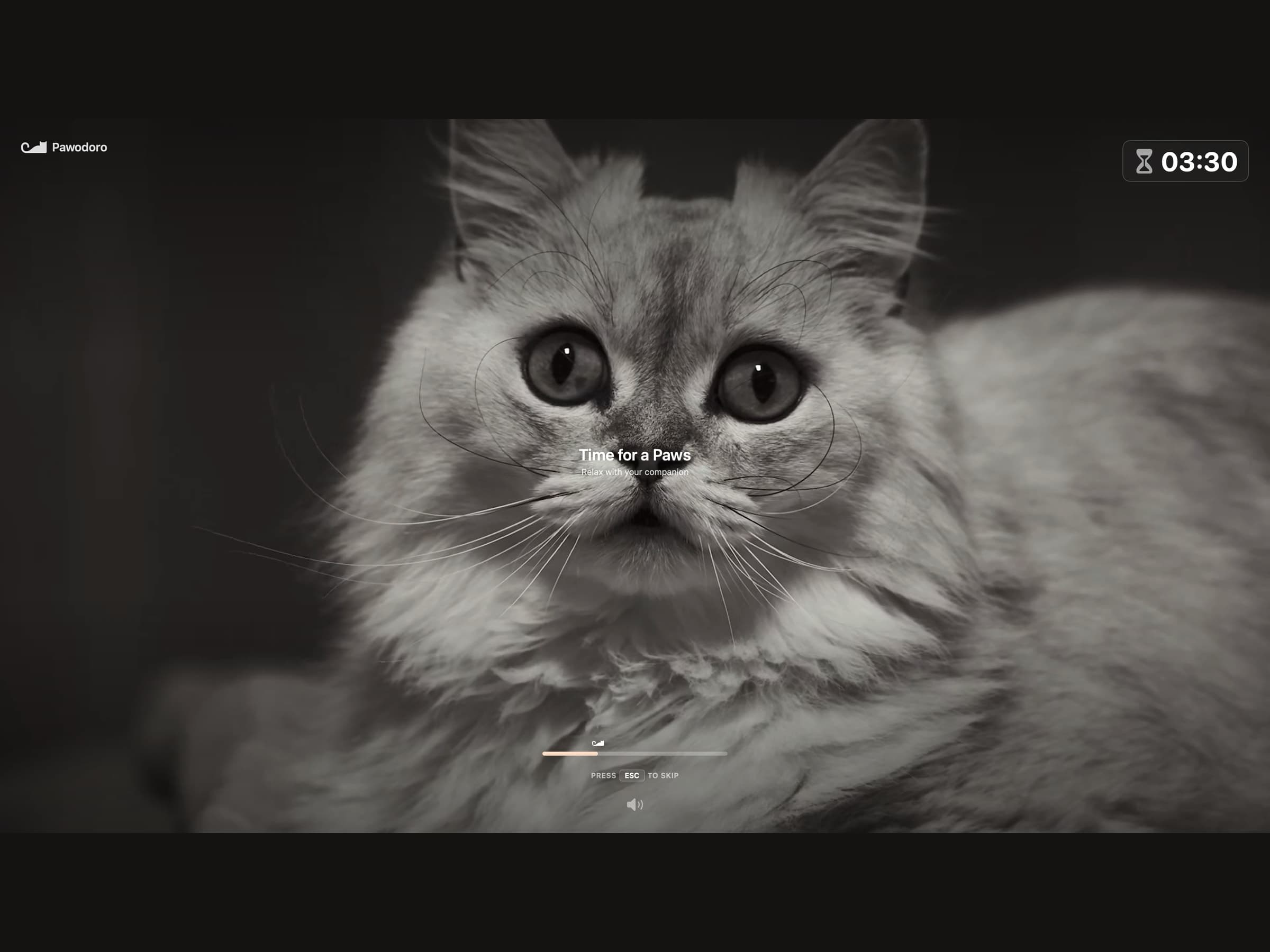 A full-screen Pawodoro break with a cat video playing, the remaining break time in the corner and a Press ESC to skip hint