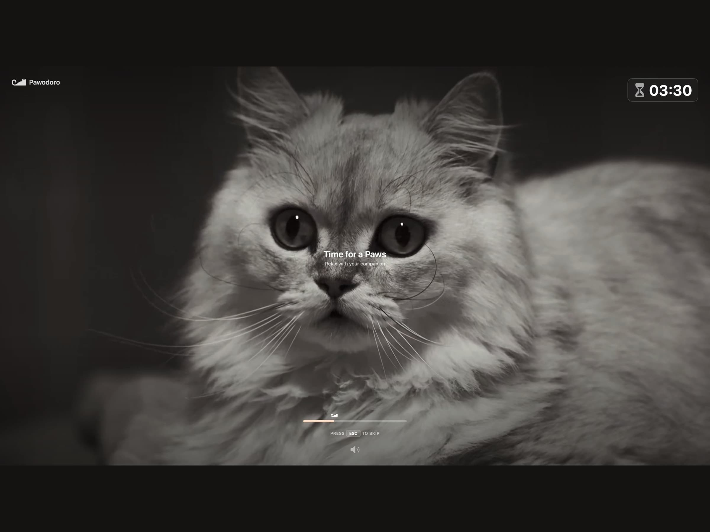 A full-screen Pawodoro break playing a cat video with the remaining break time in the corner and a Press ESC to skip hint